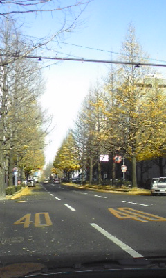111205_0845~01.jpg