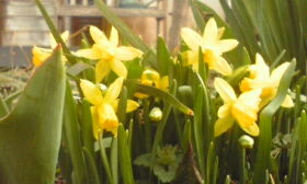 110408_0553~01.jpg