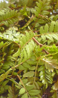 110504_0907~01.jpg